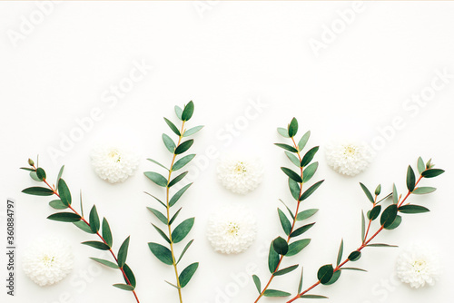 Beautiful white flowers with eucalyptus branches on a white background, template for design