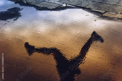 Fotografia Sunrise reflection of runner jumping over a large puddle while running in an urban environment