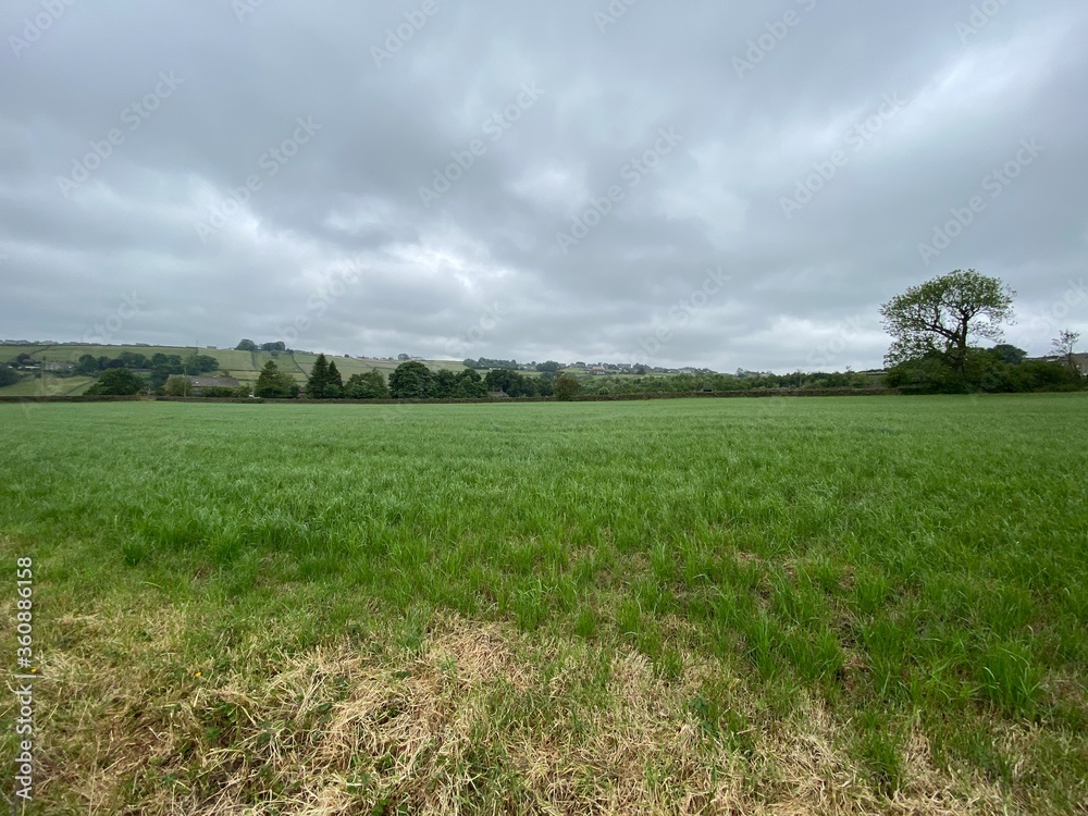 Landscape of a meadow, with long grass, and trees, with heavy rain clouds above in, Allerton, Bradford, UK Landscape of a meadow, with long grass, and trees, with heavy rain clouds above in, Allerton, Bradford, UK