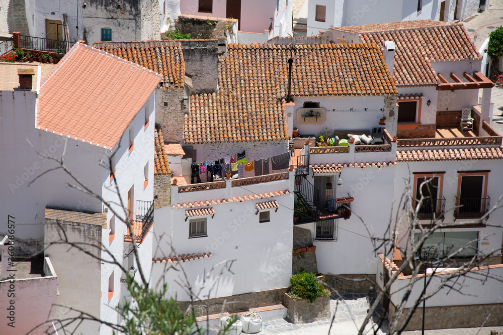 Fototapeta premium houses in the old town of a white village in Malaga