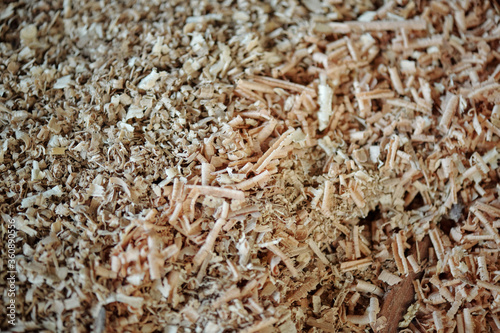 Close-up of wood shavings after woodworking in carpentry shop, background