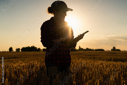 Silhouette of a woman farmer with a digital tablet in a wheat field. Smart farming and precision agriculture
