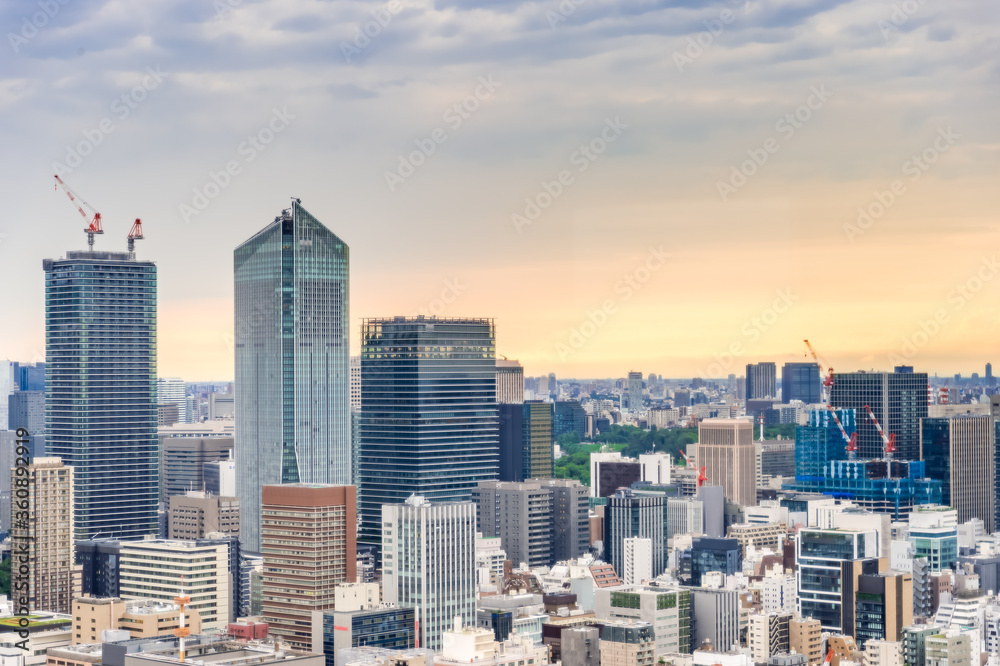 Fototapeta premium 東京都港区浜松町から見た東京の都市風景