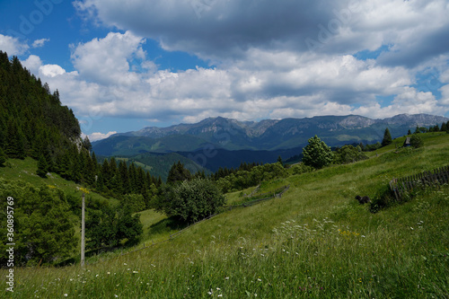 mountain landscape in the summer