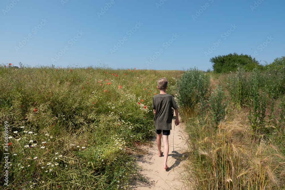 two boys walk along a narrow path with a small dog