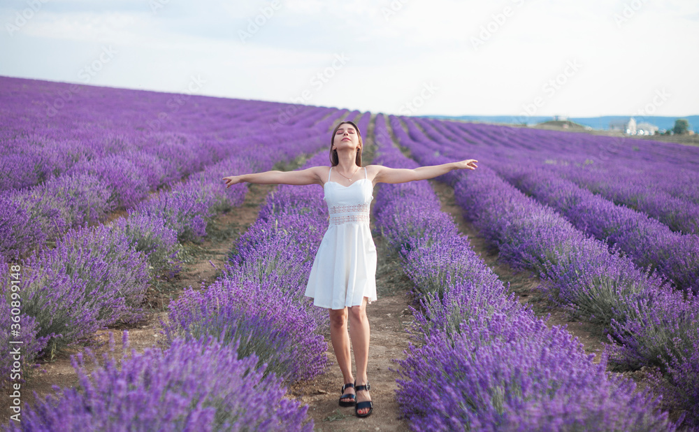 young woman in lavender field young woman in lavender field