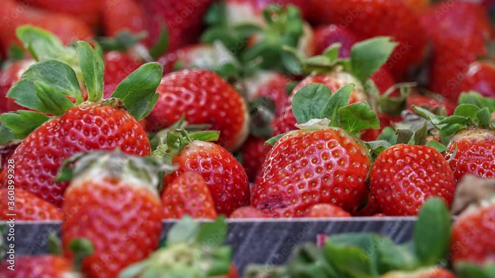 Various healthy fruits and vegetables. Various healthy fruits and vegetables.