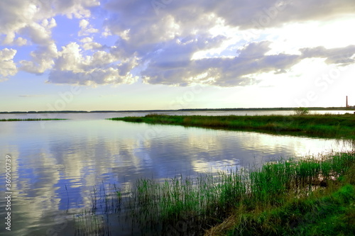 summer landscape with lake