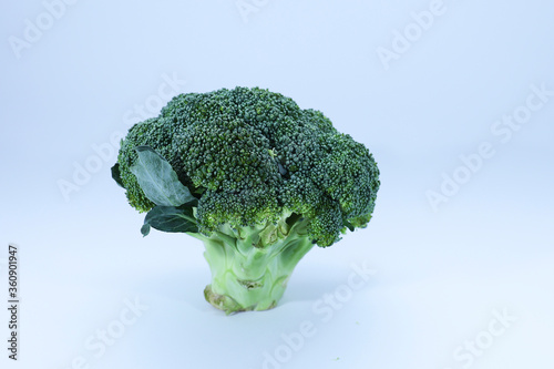 broccoli on a white background