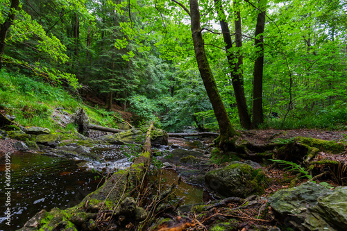 The Hoëgne river in the Belgium Ardennes is a small river full of cascades in the Liege Province