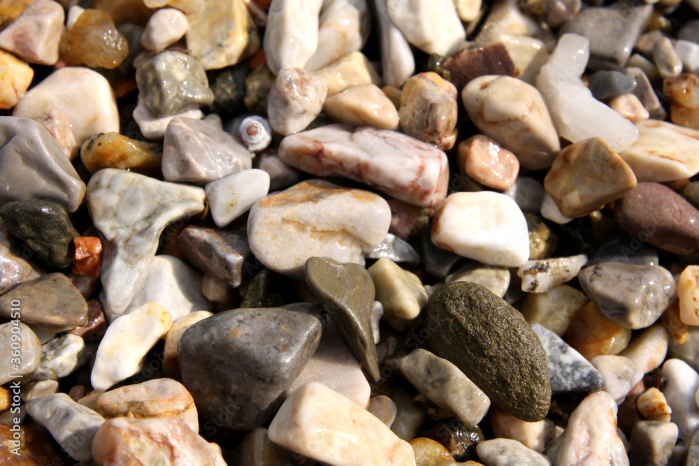 Wet stones on the beach Wet stones on the beach