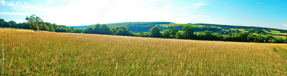 Wald Panorama Bildschirmschoner Morgenstimmung im Wald Ruhe relax Wald Panorama Bildschirmschoner Morgenstimmung im Wald Ruhe relax