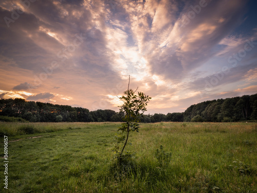 Sunset in a field photo