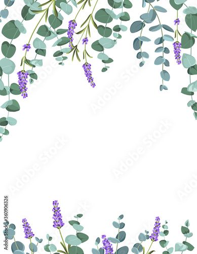 Eucaliptus and lavender elements design template. Simple design with frame flowers. Herbal vector frame