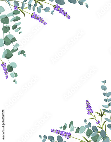 Eucaliptus and lavender elements design template. Simple design with frame flowers. Herbal vector frame