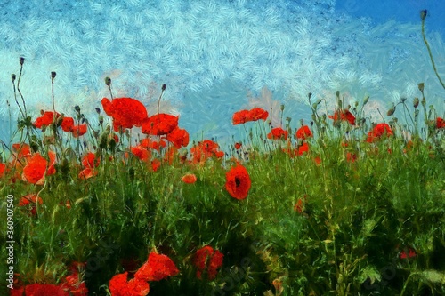 Fototapeta Naklejka Na Ścianę i Meble -  Paintings landscape, poppy field with blue sky