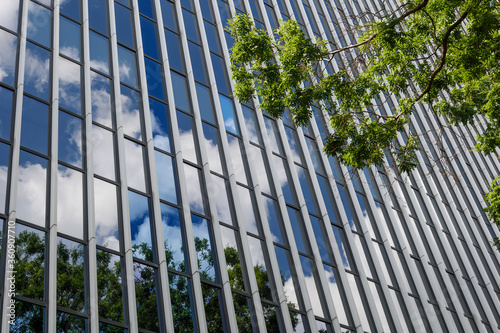 Close up view under the tree of reflected glass facade with rectangular windows grid frame system of modern office building reflected blue sky, cloud and treetop. photo