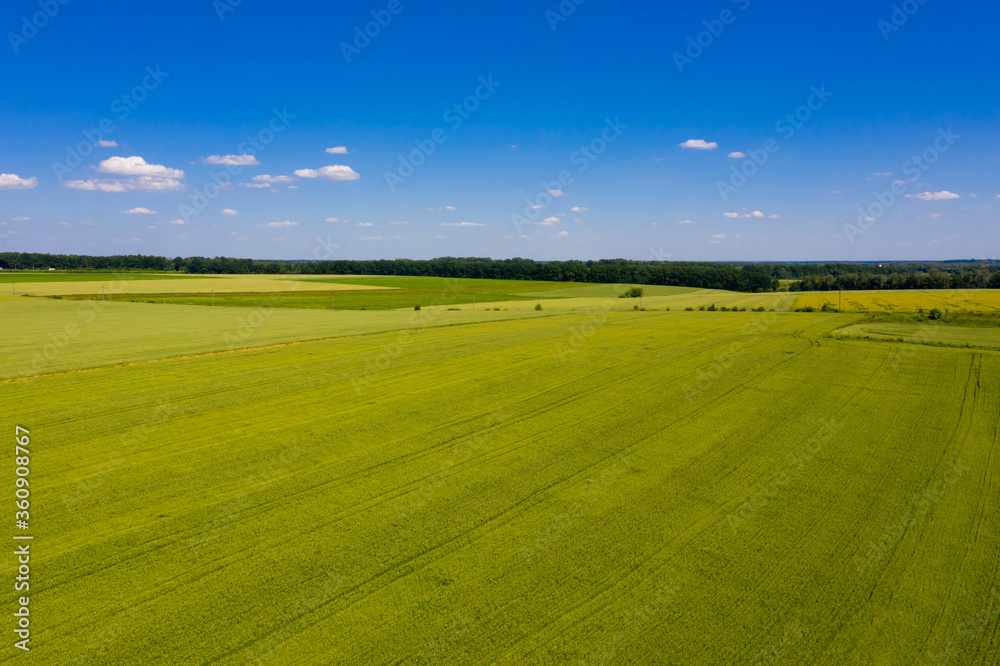 Aerial view of green field and blue sky.