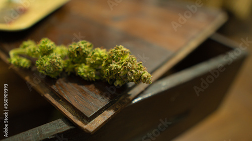 Fotografie Close up of dried marijuana bud.