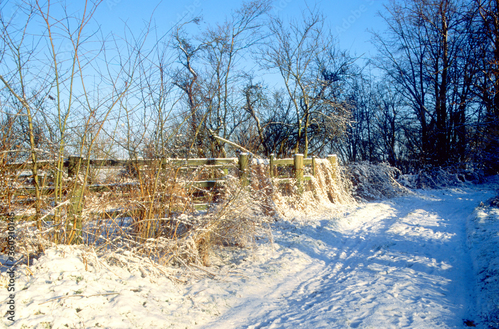 snow covered farm lane in rural UK landscape. vehicle tracks on track. wooden railing fence with vegetation and hedgerow. snow covered farm lane in rural UK landscape. vehicle tracks on track. wooden railing fence with vegetation and hedgerow.
