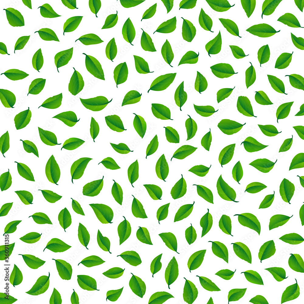 Green leaves background Green leaves background