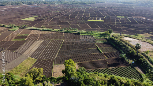 Aerial view of land prepared for planting and cultivating the crop. Rows of soil before planting