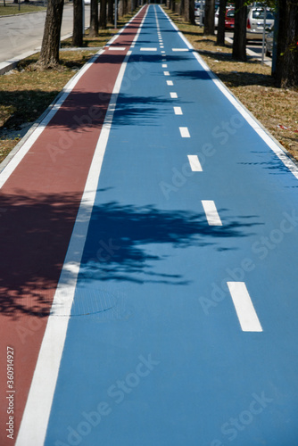 Blue Bicycle Path by Morning at Summer