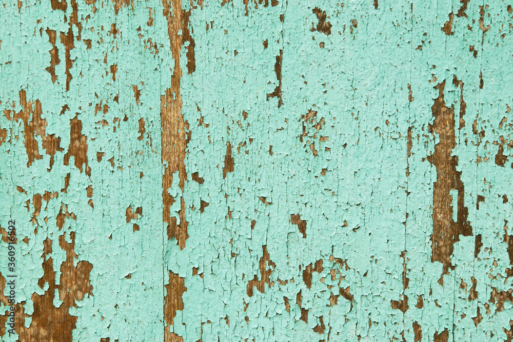 Old Turquoise Blue Wood Panel with Peeling Paint Texture Old Turquoise Blue Wood Panel with Peeling Paint Texture