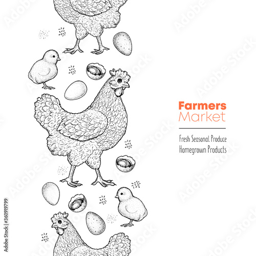 Chicken, chick and eggs hand drawn, vector illustration. Vintage chicken sketch. Design element. Chicken farm label.