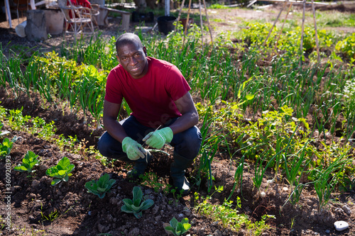 Successful african american male gardener with green onion