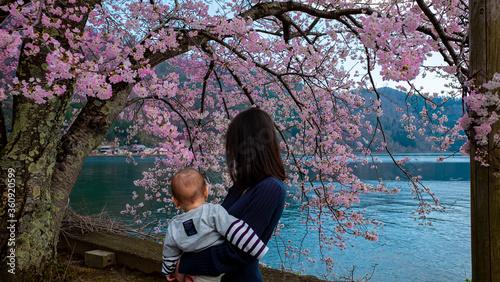 Cherry blossom - Shiga Province Japan lake Biwako 桜 滋賀県 琵琶湖