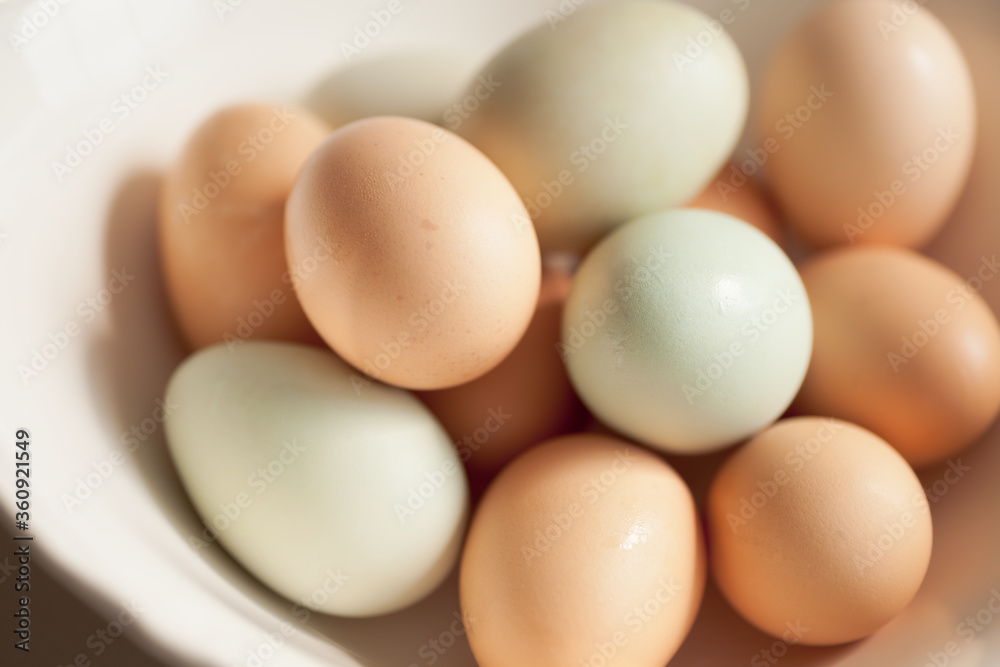Baking with farm fresh food organic eggs eggshell colors brown to blue green in natural light Baking with farm fresh food organic eggs eggshell colors brown to blue green in natural light