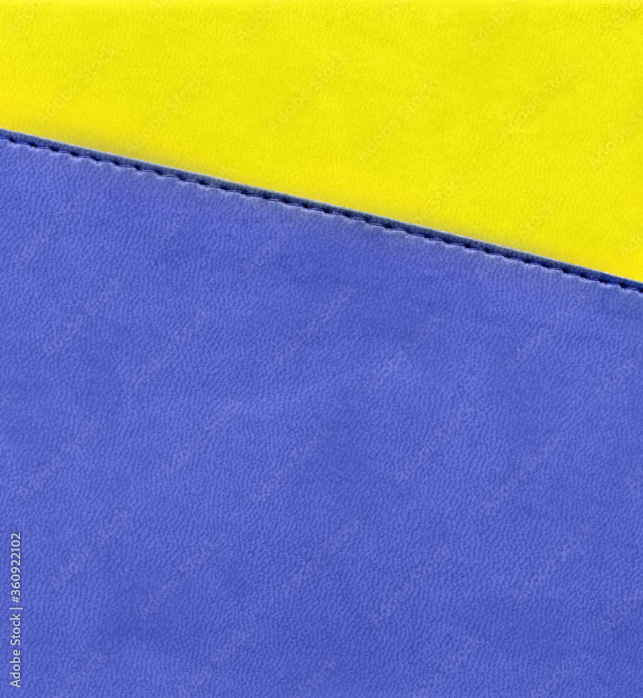 Fototapeta premium blue leather texture