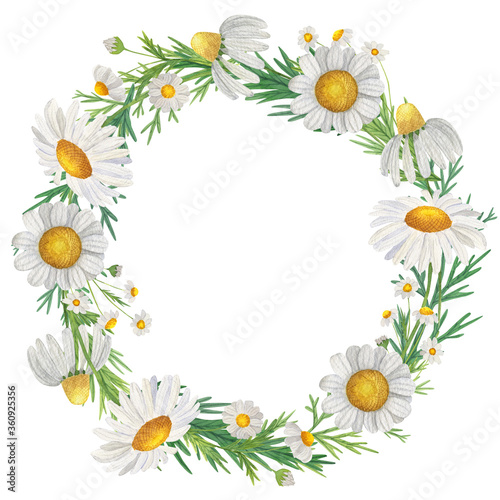 Watercolor wreath of wildflowers and daisies. Isolate on white. For invitations, cards, banners, design.