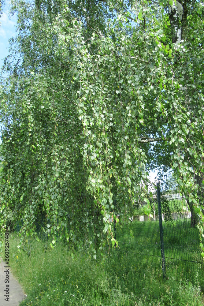 New Istra, Moscow Region, Russia (28)