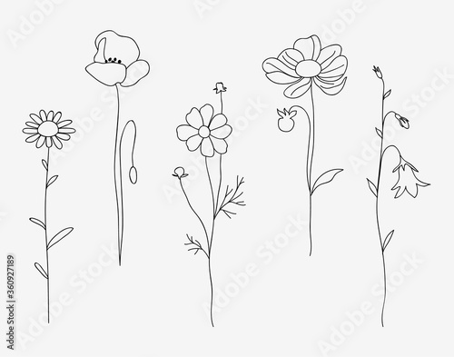 Set of decorative hand drawn flowers isolated on grey. Vector illustration. 