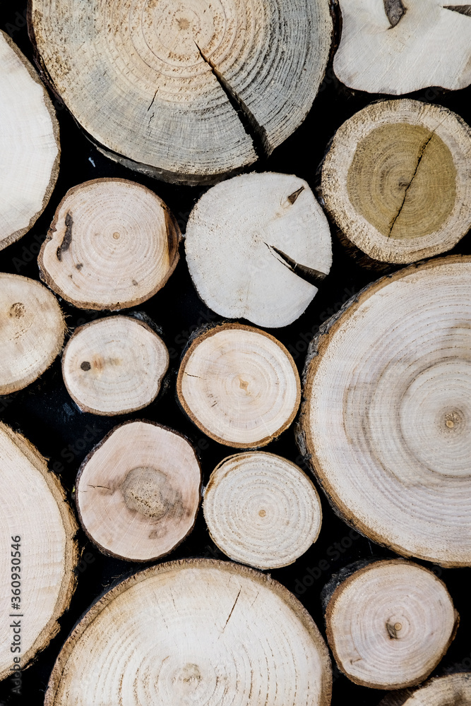 Close up view of cut wooden log. Unique circles from old trees. Creative modern interior design idea for home wall decor. Abstract closeup wood background texture in detail with rings and cracks. Close up view of cut wooden log. Unique circles from old trees. Creative modern interior design idea for home wall decor. Abstract closeup wood background texture in detail with rings and cracks.