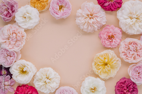 Round frame border of garden roses' buds on beige background. Mockup blank copy space. Flat lay, top view floral composition.