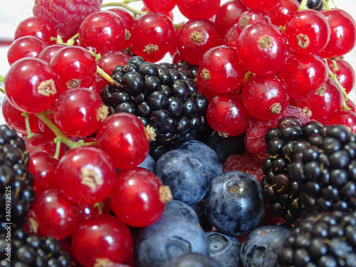 Foto Fruits rouges, myrtilles, framboises, mures, cranberry