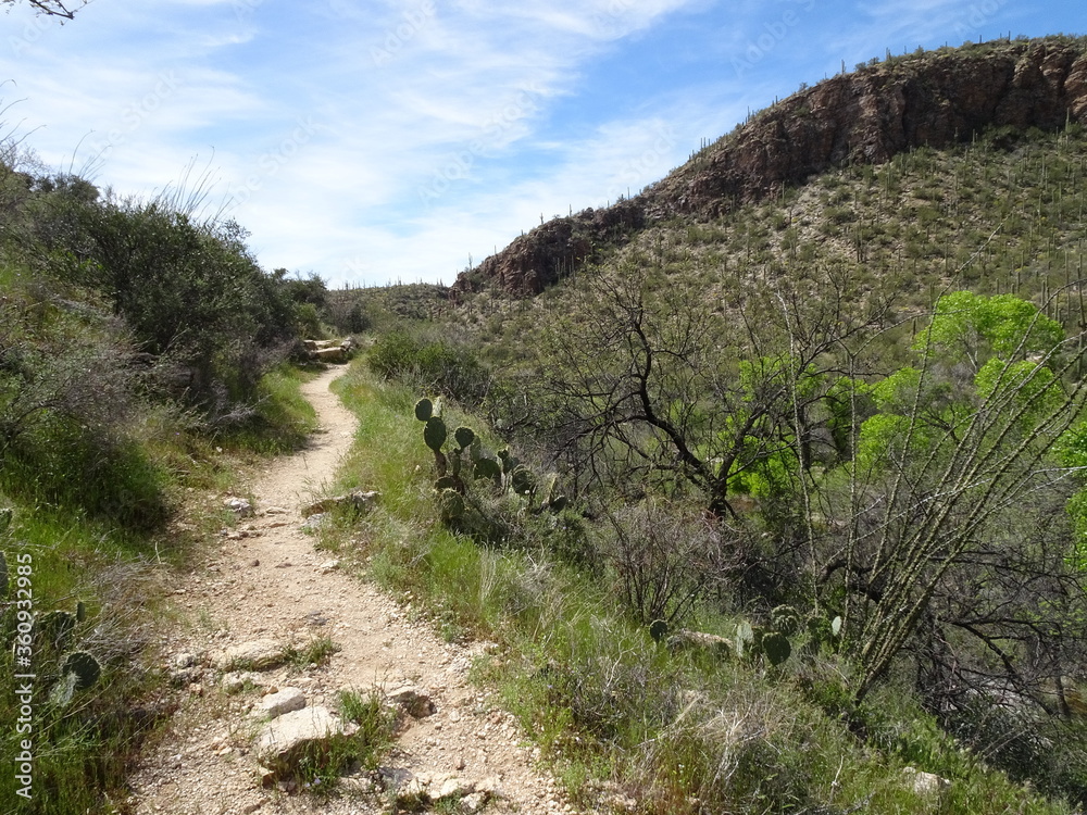 Fototapeta premium path in the mountains