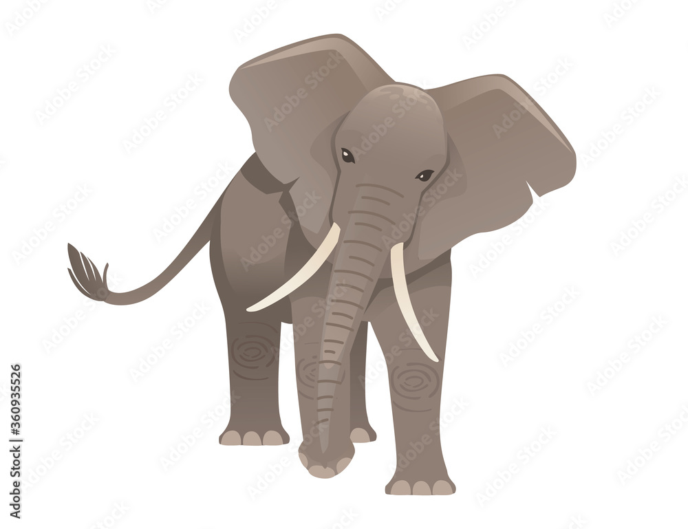 Fototapeta premium Cute adult elephant stand on ground and look at you cartoon animal design flat vector illustration isolated on white background