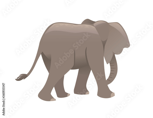 Cute adult elephant walking go away cartoon animal design flat vector illustration isolated on white background © An-Maler