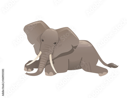 Cute adult elephant lying on the ground and look at you cartoon animal design flat vector illustration isolated on white background