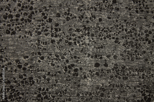 Abstract old porous gray background-roofing material and copy space