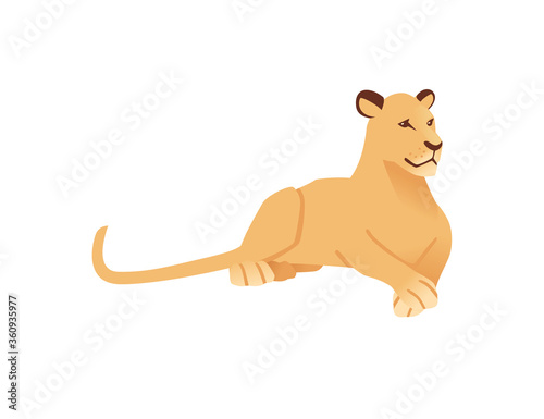 Adult lioness lying on the ground african wild predatory cat female lion cartoon cute animal design flat vector illustration isolated on white background