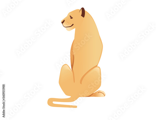 Adult lioness sit on the ground african wild predatory cat female lion cartoon cute animal design flat vector illustration isolated on white background