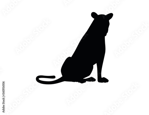 Black silhouette adult lioness sit on the ground african wild predatory cat female lion cartoon cute animal design flat vector illustration isolated on white background