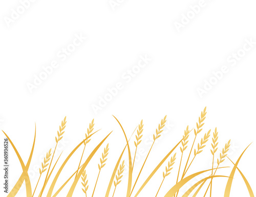 Yellow african savanna grass flat vector illustration on white background