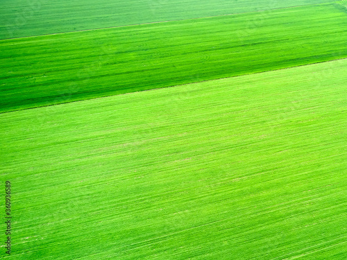 Aerial view on a field with bright green grass. Natural texture.