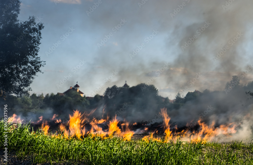 Spring fires. The grass burns in the meadow. Ecological catastrophy. Fire and smoke destroy life.